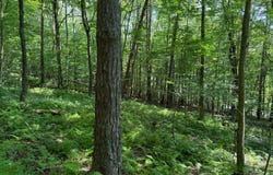 1181 Brown Hill Rd, Youngsville, PA 16371