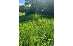 Tbd County 29, Browerville, MN 56438