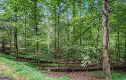 Lot 72 Huron, Ellijay, GA 30540