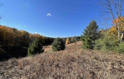 Lot 1 Dockery Road, Williamsburg, MI 49690