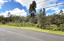 LEHUA ST, Mountain View, HI 96771