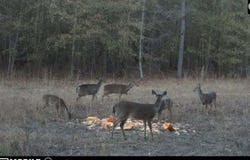 000 Clinton Church Road LOT 20, Salley, SC 29137