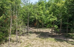 Wilderness Road, Mammoth Cave, KY 42259
