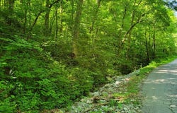 888 Hazel Patch Road, East Bernstadt, KY 40729