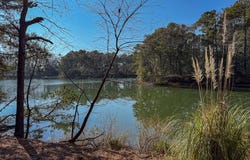 208/209 BLUE FISH LN lot: 208-9, MACHIPONGO, VA 23405