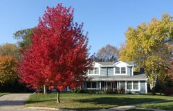 7291 Huckleberry Ct, Greendale, WI 53129