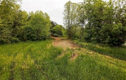 0 County Road 4, Pedro, OH 45659