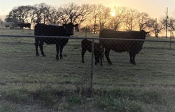 0 Tbd Hcr 1414, Covington, TX 76636