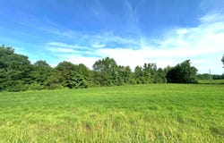 1848 Antioch Road, Golden, MS 38847