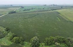 Heron Ave & 270th St, Exira, IA 50076