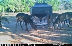 267 CR 112, Goldthwaite, TX 76844