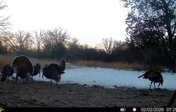 Bronco Rd, Peru, KS 67360