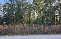 15100 SW 28TH LANE, OCALA, FL 34481