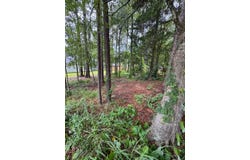 1008  Pinemont, Mobile, AL 36609