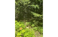 Brown Road lot: 2C, Liberty, ME 04949