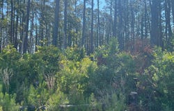 556 Highway 70 Smyrna lot: 2,3, & 4, Smyrna, NC 28579