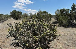 29 Via Entrada, Sandia Park, NM 87047