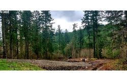 Viewcrest Dr, Warren, OR 97053