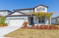 3044 FOREST MEADOW Avenue, VALRICO, FL 33594