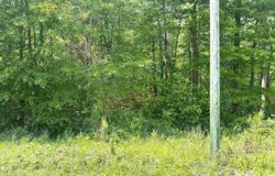 3.78 Acres Alfest Blvd, Glencoe, AL 35903