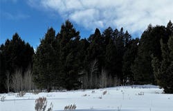 Parcel 23 Buffalo Lance Ranch, Cameron, MT 59720