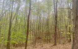 Rothwood Road, Monroe, VA 24574