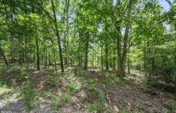 Lots 4 & 5 GLEN RIDGE ROAD, WINCHESTER, VA 22602