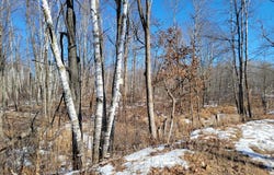 Meadow Lake Road SW, Motley, MN 56466