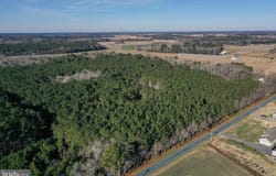 BENT PINE Road, WILLARDS, MD 21874
