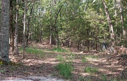 TBD Madison 2149 lot #25, Huntsville, AR 72740