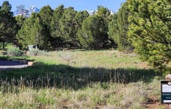 1635 Marmot Drive, Ridgway, CO 81432