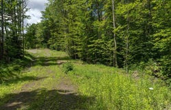 TBD Wilder Road, Duxbury, VT 05660
