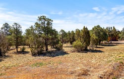 3327 Sawmill Ridge Loop, Heber, AZ 85928