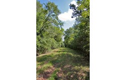 0 Buckhorn Road, Bullock, NC 27507