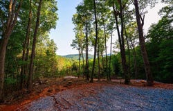 0 Cottonwood Lane, Blue Ridge, GA 30513