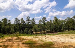 204 Doe Drive, Hopkins, SC 29061