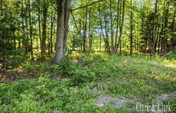 168th Avenue, Spring Lake, MI 49456
