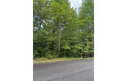Lot 44 Three Springs Lot 44, Morganton, GA 30512
