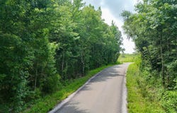 Martin Road NE, Golden, MS 38847