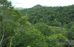 Forest Lane, Blowing Rock, NC 28605