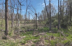 0 Roscoe Road, Madison Twp, OH 45656