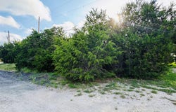 419 Thunderhead ST, Spring Branch, TX 78070
