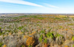 Peter Martin Hill Rd, Cave City, AR 72521