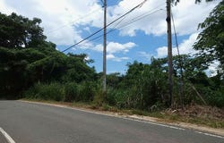 SR 108 KM 7.4 RIO CAÑAS WD, ANASCO, 00610