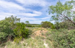 TBD 90 Cr 220, Wingate, TX 79566