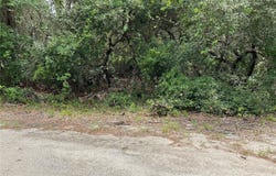 Tbd Lot 59 MALAUKA RADIAL TRAIL, OCKLAWAHA, FL 32179