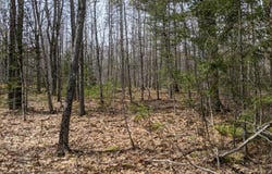 Arrowsic Road, Arrowsic, ME 04530