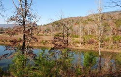 8 Lakeview Drive, Rising Fawn, GA 30738