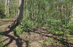 2930 W Memorial Drive, Janesville, WI 53548