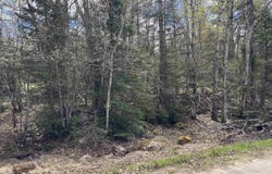 AL County Road, Champion, MI 49814